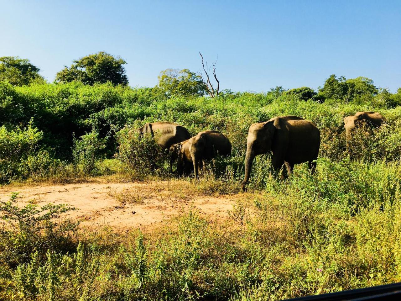 Atha Safari & Riverside