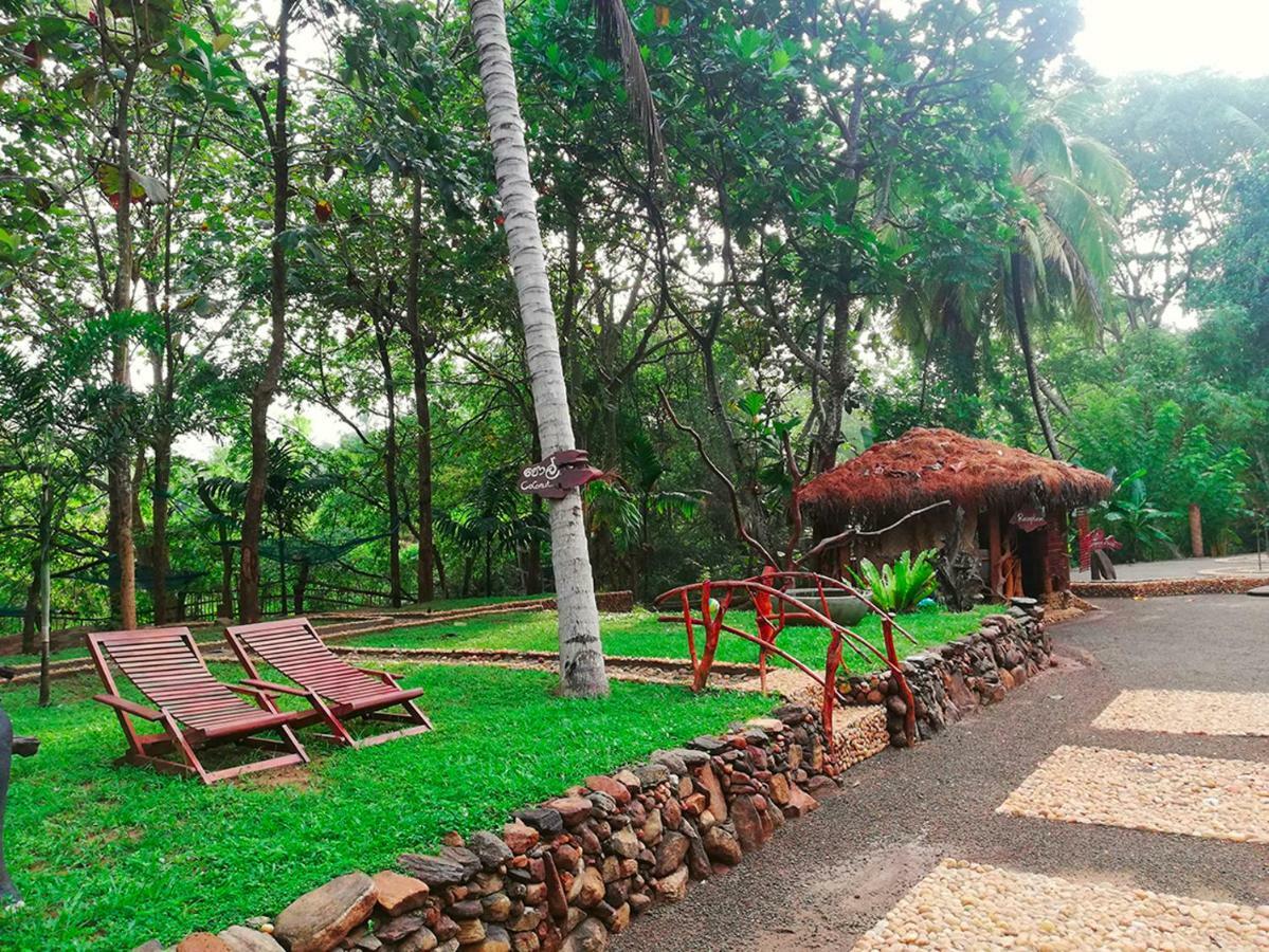 Atha Safari & Riverside